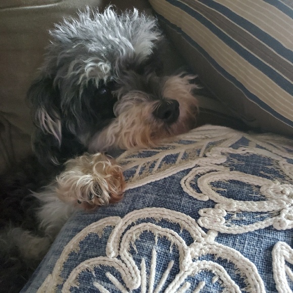 Meet your Posher, Kimberly - Picture 1 of 1